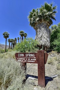 Corn Springs campground