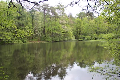 Dockery Lake - Dahlonega, Georgia campground