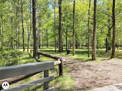 James Shackleford County Park campground