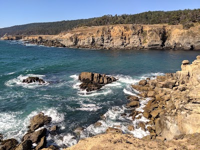 Salt Point State Park - Jenner, California campground