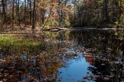 Titus County Park - Pittsburg, Texas campground