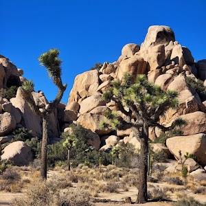Hidden Valley - Joshua Tree National Park - Twentynine Palms, California campground