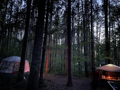 Chippewa Loop - Cass Lake, Minnesota campground