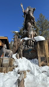 Idyllwild - Mount San Jacinto State Park - Idyllwild, California campground