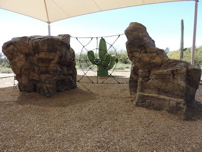 Regional Park - Usery Mt RA - Mesa, Arizona campground