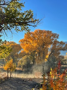 Dayton State Park - Dayton, Nevada campground