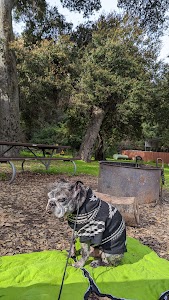 Paradise - Santa Barbara, California campground