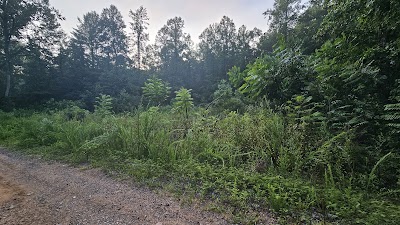 Sylco - Copperhill, Tennessee campground