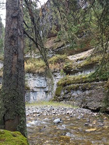 Pebble Creek - Yellowstone National Park - Yellowstone National Park, Wyoming campground