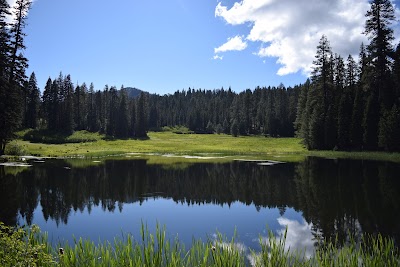 Plaskett Meadows - Elk Creek, California campground