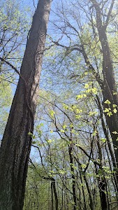 Ouabache Trails County Park - Vincennes, Indiana campground