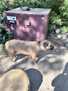 Lower Bucks - Meadow Valley, California campground