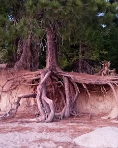 Sunset - Pollock Pines, California campground