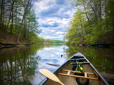 Barton Cove campground