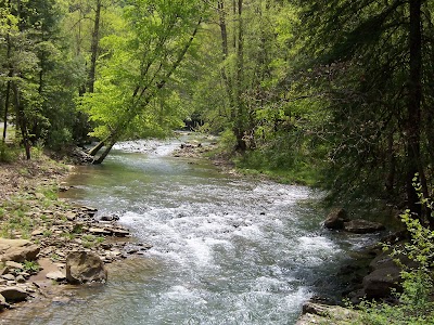 Panther WMA campground