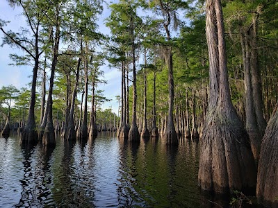 George L Smith State Park - Twin City, Georgia campground