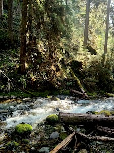 Mineral Forest Camp - Culp Creek, Oregon campground