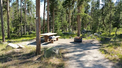 Grasshopper - Polaris, Montana campground