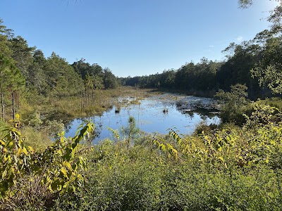 Fred Gannon Rocky Bayou State Park - Niceville, Florida