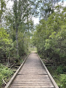 Goose Creek State Park campground