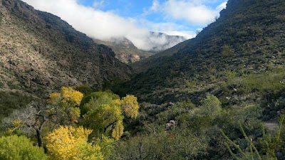 Oliver Lee State Park - Alamogordo, New Mexico campground