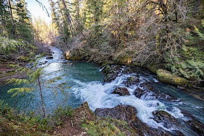 Cavitt Creek Falls Recreation Site - Glide, Oregon campground