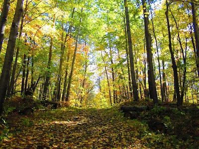Mille Lacs Kathio State Park - Onamia, Minnesota campground