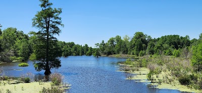 Big Turner Lake 1 - Ballard WMA - La Center, Kentucky