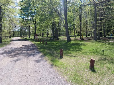 Arthur Latham Park - Millington, Michigan campground