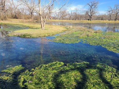 Berry Springs Park and Preserve - Georgetown, Texas campground