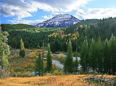 Moose Flat - Alpine, Wyoming campground