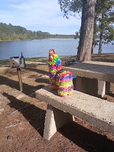Lake Perry - Beaumont, Mississippi campground