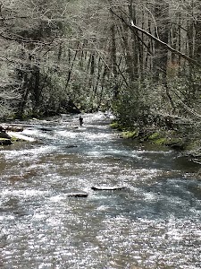 Cataloochee - Great Smoky Mountains - Waynesville, North Carolina