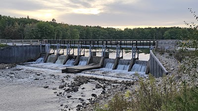 Dyer Lake - State Forest - Falmouth, Michigan campground