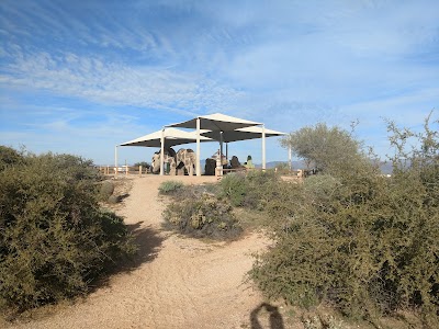 McDowell Mountain - Scottsdale, Arizona campground