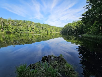 Chenango Valley State Park - Chenango Forks, New York campground