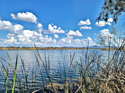 Palo Verde County Park - Palo Verde, California campground