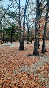 Thibaut Point - Harry S. Truman Lake - Warsaw, Missouri campground