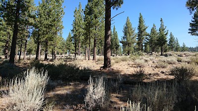 Turtle Rock Park - Markleeville, California campground