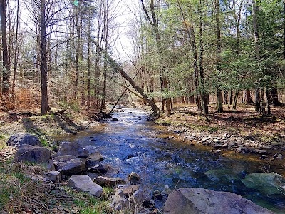 Island - Bartow, West Virginia