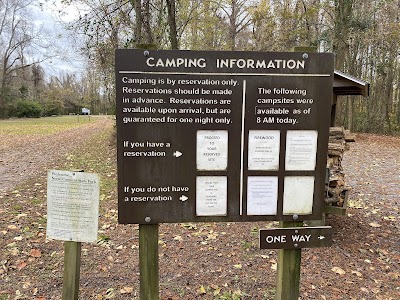 Pettigrew State Park - Creswell, North Carolina campground