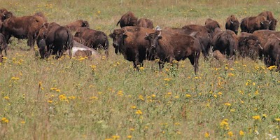 Blue Mounds State Park - Luverne, Minnesota campground
