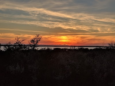 Falcon State Park - Roma, Texas campground