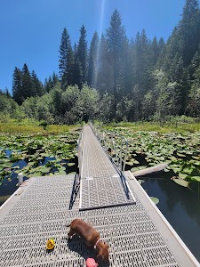 Trout Lake - Kettle Falls, Washington campground