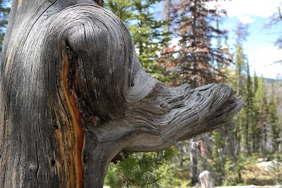 Lilly Lake - Kamas, Utah campground