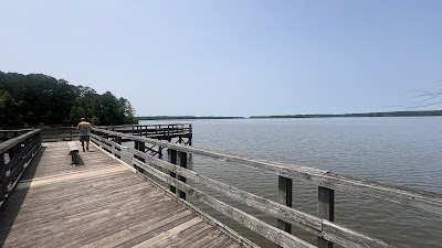 Holly Point Campground State Recreation Area - Wake Forest, North Carolina