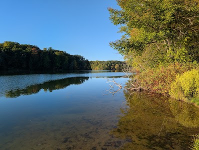 Government Landing - Harrietta, Michigan campground