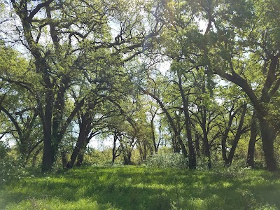Bidwell - Sacramento River State Park - Chico, California campground