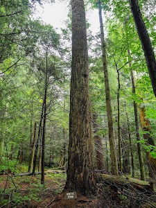 Hearts Content Rec Area - Tidioute, Pennsylvania campground
