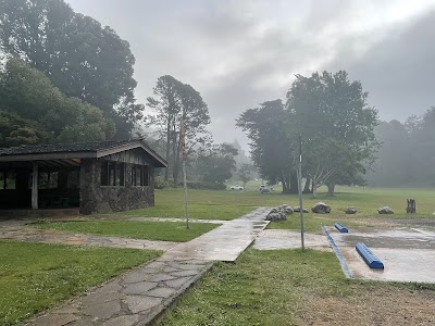 Koaie Primitive - Kokee State Park - Kauai - Hanalei, Hawaii